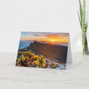 Flowers Canary Islands, Spain Card