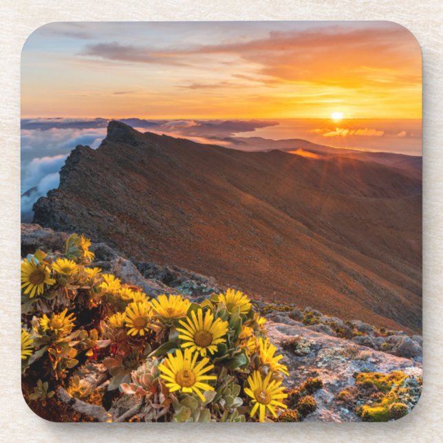 Flowers | Canary Islands, Spain Coaster (Front)
