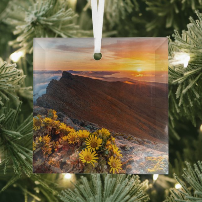 Flowers | Canary Islands, Spain Glass Tree Decoration (Insitu)