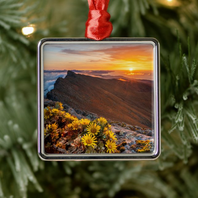 Flowers | Canary Islands, Spain Metal Ornament (Tree)