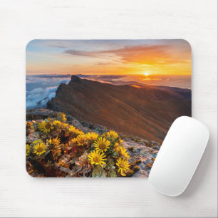 Flowers Canary Islands, Spain Mouse Pad