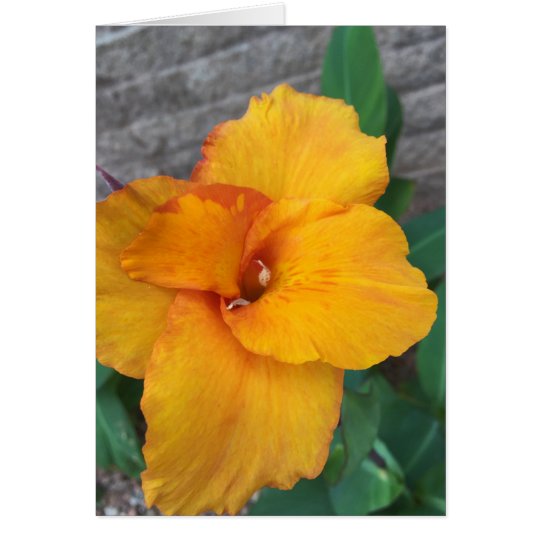 Flowers Card