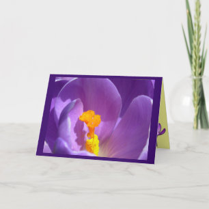 Flowers Cards Crocus Flowers Custom Greeting Card
