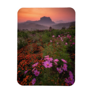 Flowers Chiang Dao, Chiang Mai, Thailand Magnet