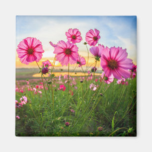 Flowers  Chiang Rai Province, Thailand Magnet