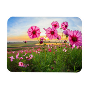 Flowers Chiang Rai Province, Thailand Magnet