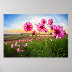 Flowers  Chiang Rai Province, Thailand Poster