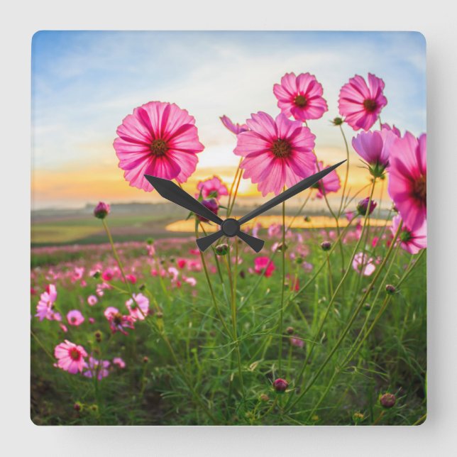 Flowers |Chiang Rai Province, Thailand Square Wall Clock (Front)