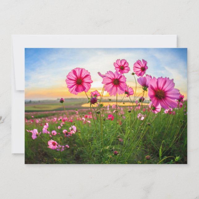 Flowers |Chiang Rai Province, Thailand Thank You Card (Front)