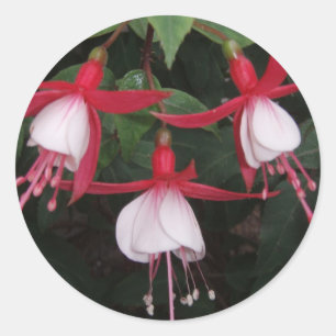 Flowers Classic Round Sticker