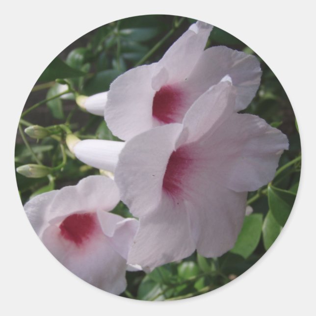 Flowers Classic Round Sticker (Front)
