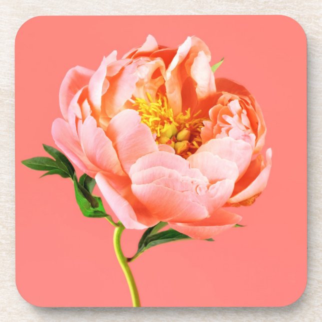 Flowers | Coral Peony Blossom Coaster (Front)