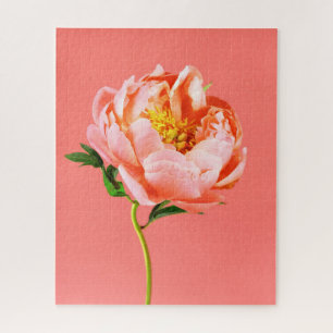 Flowers   Coral Peony Blossom Jigsaw Puzzle