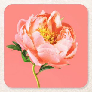 Flowers Coral Peony Blossom Square Paper Coaster