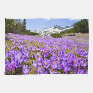 Flowers Crocus Pirin Mountain Park Bulgaria Tea Towel