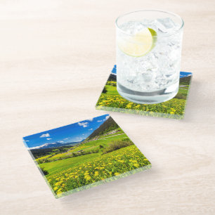 Flowers   Dandelion Canton of Grisons, Switzerland Glass Coaster