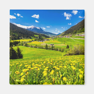 Flowers   Dandelion Canton of Grisons, Switzerland Magnet