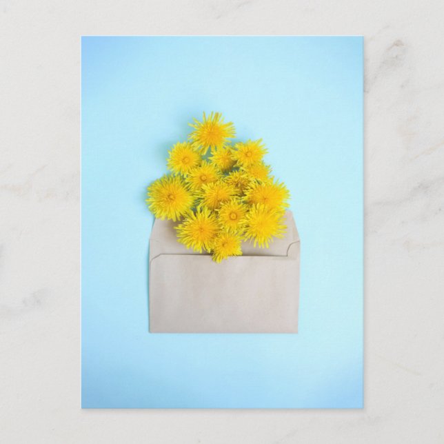 Flowers | Dandelions in Envelope Postcard (Front)