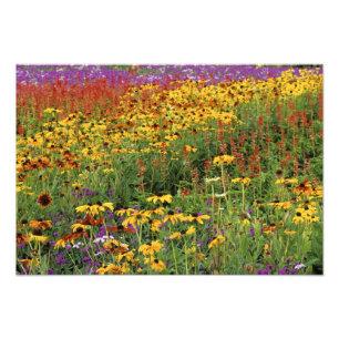 Flowers Display at International Peace Gardens Photo Print