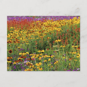 Flowers Display at International Peace Gardens Postcard