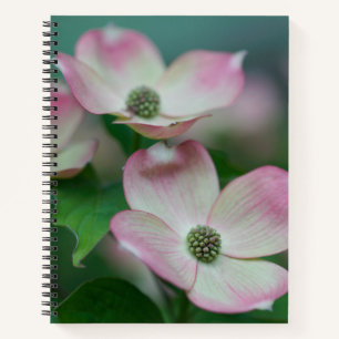 Flowers Dogwood Blossoms Notebook