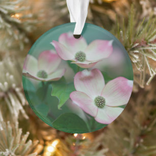 Flowers   Dogwood Blossoms Ornament