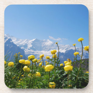 Flowers Eiger Monch Swiss Alps Coaster