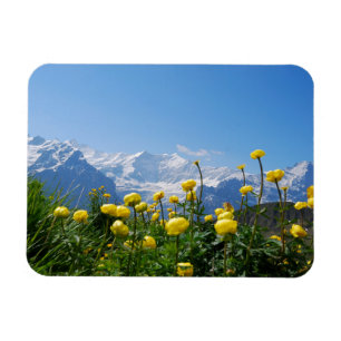 Flowers   Eiger Monch Swiss Alps Magnet