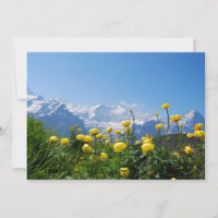 Flowers | Eiger Monch Swiss Alps