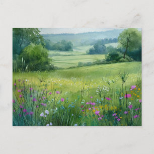 Flowers Field Nature Scene  Postcard