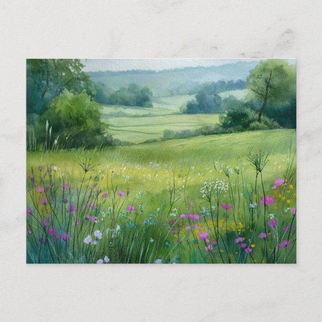 Flowers Field Nature Scene  Postcard (Front)