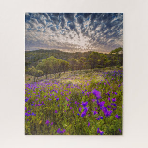 Flowers   Flinders Ranges Australia Jigsaw Puzzle