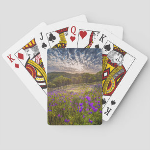 Flowers   Flinders Ranges Australia Playing Cards