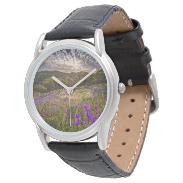 Flowers | Flinders Ranges Australia Watch (Angled)