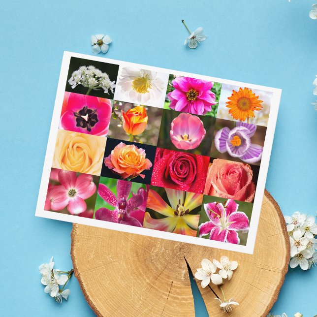 Flowers, Flowers Everywhere Postcard (Creator Uploaded)