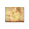 Flowers for Adrena Wrapped Canvas