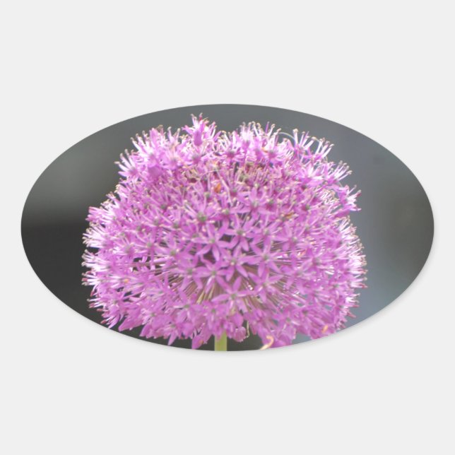 Flowers for All Oval Sticker (Front)