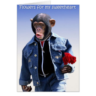 Flowers For My Sweetheart