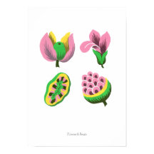 Flowers & Fruits