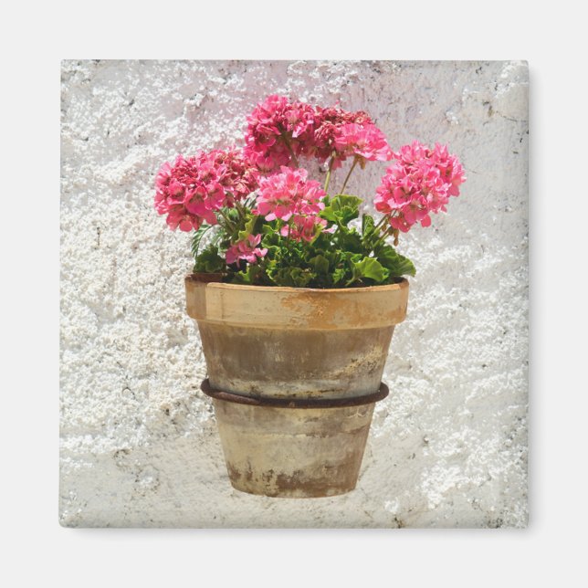Flowers | Geranium In Flower in Pot Magnet (Front)
