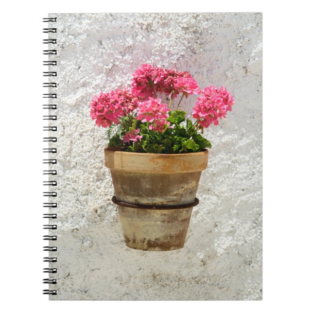 Flowers | Geranium In Flower in Pot Notebook (Front)