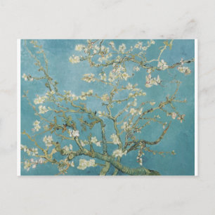 Flowers Gogh Branches Almond Blossoms Nature Postcard