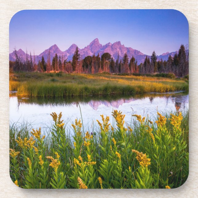 Flowers | Grand Teton National Park, Wyoming Coaster (Front)