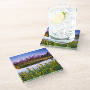 Flowers Grand Teton National Park, Wyoming Glass Coaster