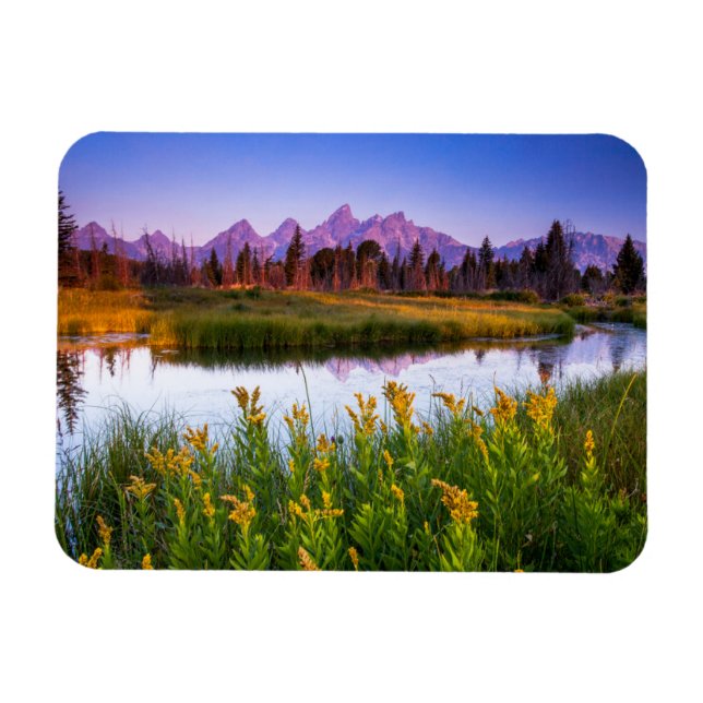 Flowers | Grand Teton National Park, Wyoming Magnet (Horizontal)