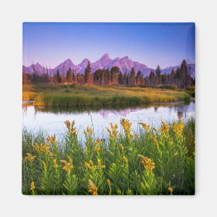Flowers Grand Teton National Park, Wyoming Magnet
