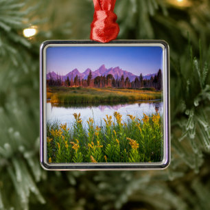 Flowers   Grand Teton National Park, Wyoming Metal Ornament