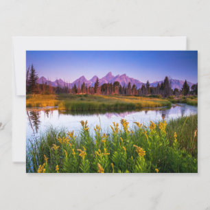 Flowers Grand Teton National Park, Wyoming Thank You Card