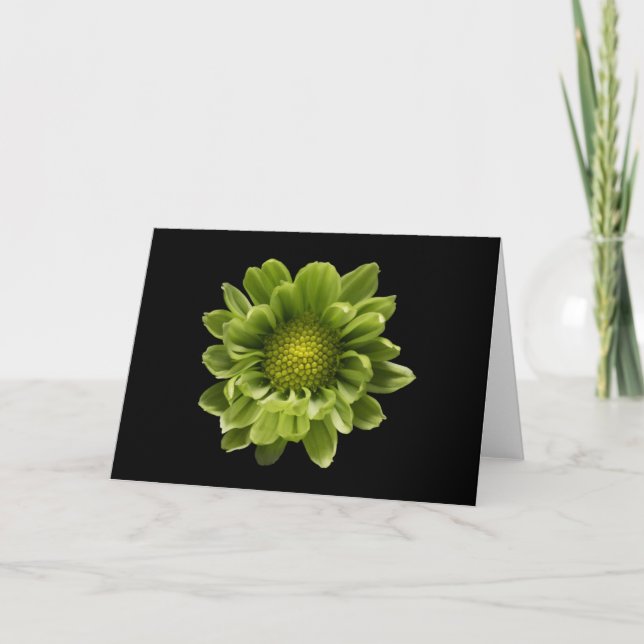 Flowers | Green Chrysanthemum Card (Front)