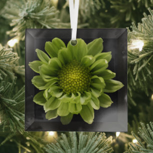 Flowers Green Chrysanthemum Glass Tree Decoration